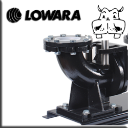 Lowara - Lifting and lowering locking device for pumps