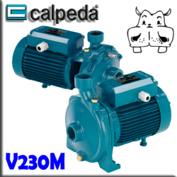 Calpeda - Elettropompe centrifughe Monogirante NMM - alimentazione monofase 230Vac