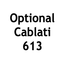 Optional for the 613 panel