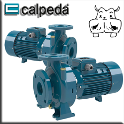Calpeda - Elettropompe centrifughe monoblocco con bocche flangiate NM