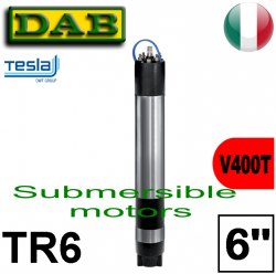 Pos.03 Dab - TR6  6" submersible asynchronous two-pole electric motor 