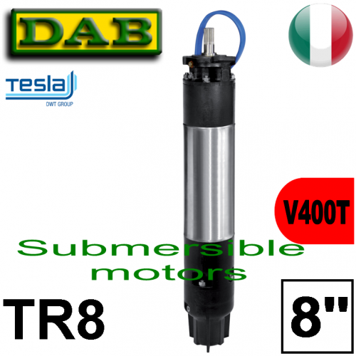 Pos.04 Dab - TR8 8” Submersible Motor
