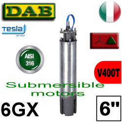 Pos.07 Dab -  6GXST submersible motors 