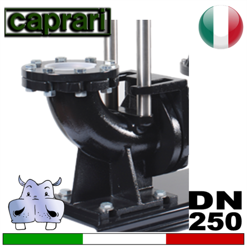 Caprari -  lifting & lowering device for DN250 sewage pumps