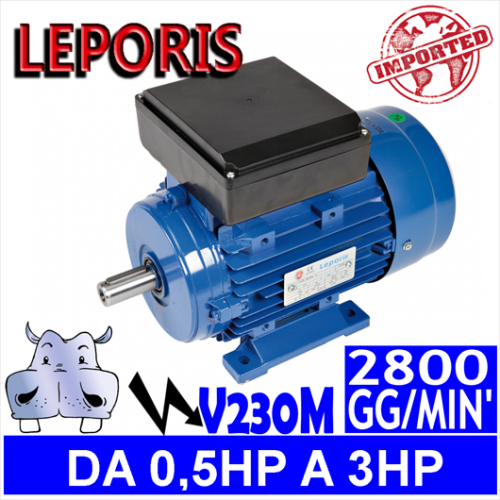 Leporis - Motori elettrici V230M 2 POLI 2800 GG.MIN Forma B3