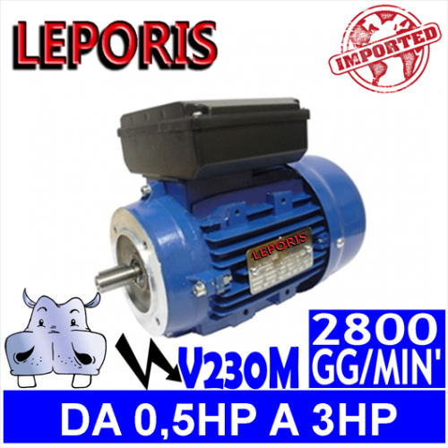 Leporis - Motori elettrici V230M 2 POLI 2800 GG.MIN Forma B14