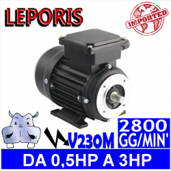Leporis - Motori elettrici V230M 2 POLI 2800 GG.MIN Forma B3.B14