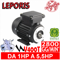 Leporis - Motori elettrici V400T 2 POLI 2800 GG.MIN Forma B3.B14 - Efficenza IE2