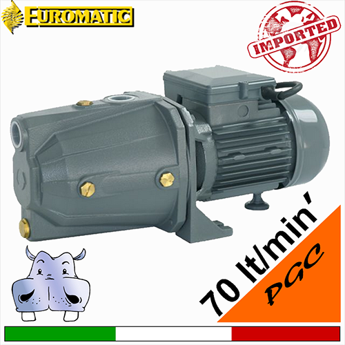 Euromatic PGC1100 jet selfpriming pump for domestic needs