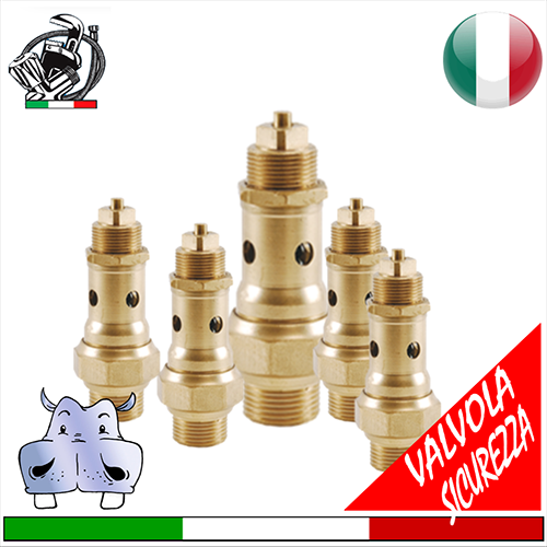 Safety valve - Pressure relief valve (PRV)