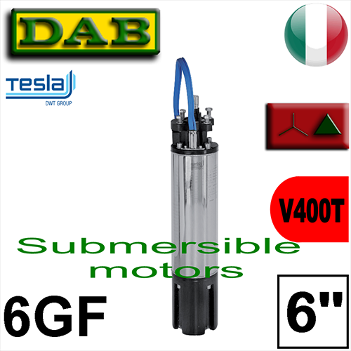 Pos.06 Dab -  6GFST submersible motor