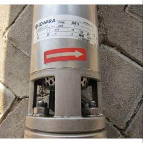 Lowara Elettropompe Sommerse complete 12GS - L4C watercooled alimentazione elettrica trifase 230Vac 3