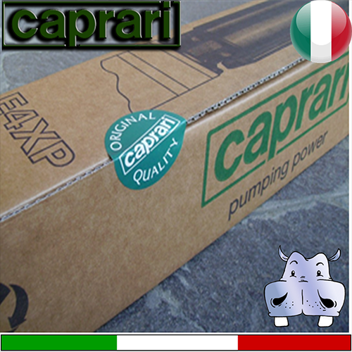 Caprari - Elettropompa sommersa completa E4XPD60+UNIMOTOR 230 Trifase - idonea per inverter MT 3