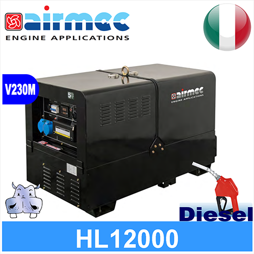 Generatore Gruppo Elettrogeno a diesel HL12000 9,5KW 9500W avviamento elettrico