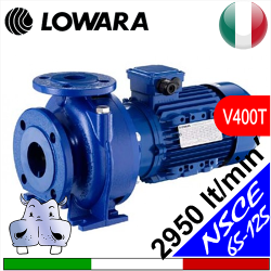 Lowara Elettropompa normalizzata in ghisa NSCE 65-125 trifase