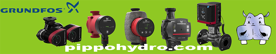 elettropompe grundfos circolatori vendita e assistenza grundfos pompe in linea circolatore riscaldamento acqua calda sanitaria refrigerazione circolatore pannelli solari pippohydro