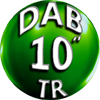 rivenditore al miglior prezzo di Motori sommersi TR10 - Dab - Motori sommersi 6GF 6GX TR6-10 per pozzi e cisterne, irrigazione e giardinaggio per sollevamento acqua