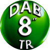 rivenditore al miglior prezzo di Motori sommersi TR8 - Dab - Motori sommersi 6GF 6GX TR6-10 per pozzi e cisterne, irrigazione e giardinaggio per sollevamento acqua